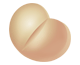 Bisoprolol